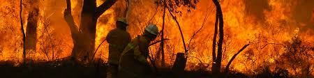 fires in livingstone shire